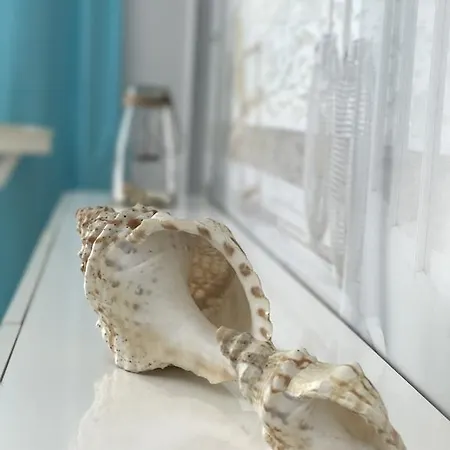Apartmán Tropical Zev *