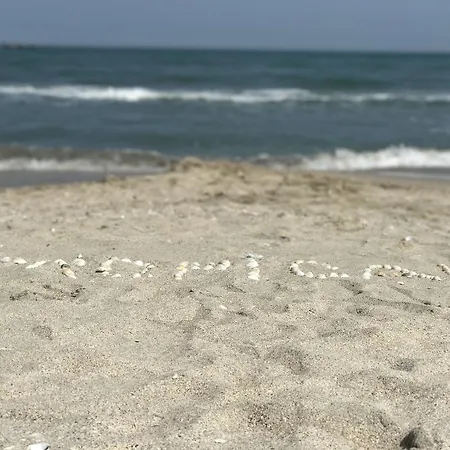 Tropical Zev Mamaia